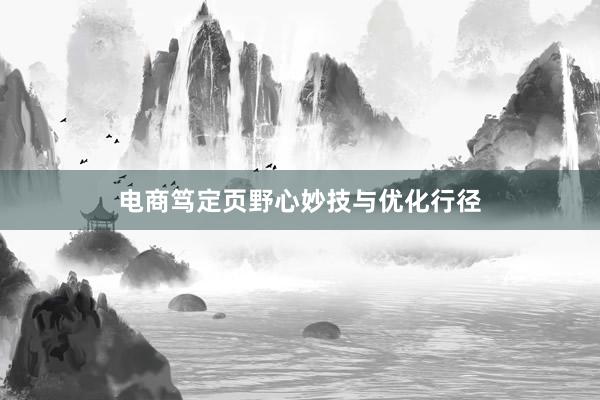 电商笃定页野心妙技与优化行径