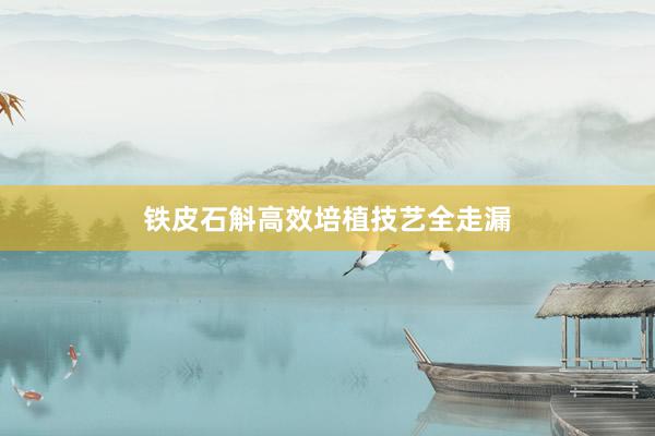 铁皮石斛高效培植技艺全走漏