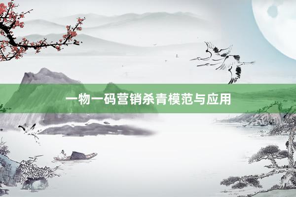 一物一码营销杀青模范与应用